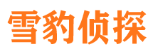 万宁市私家侦探